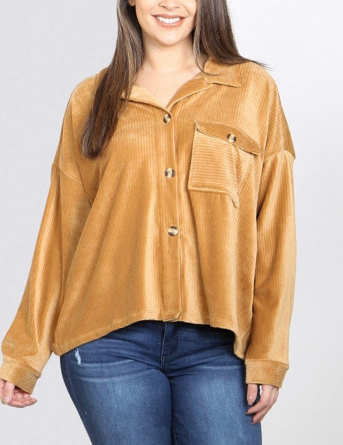 Gold button down velvet long sleeve-plus size